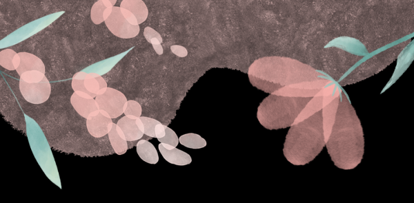 鑫元基金“她们的时刻”②