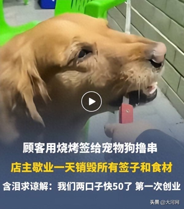 顾客用烧烤签给狗撸串视频流出，店主歇业一天销毁所有签子和食材；最新：已恢复营业，涉事顾客账号转为私密