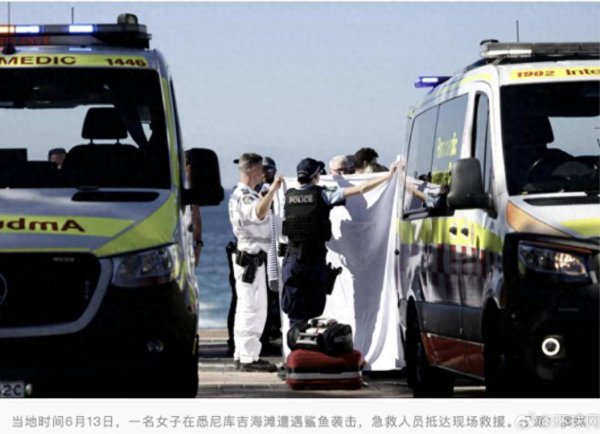 悉尼库吉海滩发生鲨鱼袭人事件，一名35岁女子双臂和腿部严重受伤，需接受多次手术，事发后涉事海滩及周边区域的其他海滩被关闭24小时